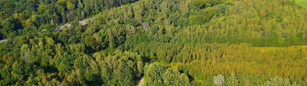 Działka (1,5310 ha)