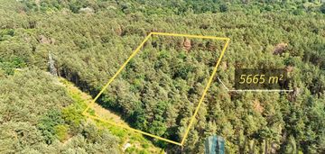 Luksusowa działka nas świdrem | 5665 m² - józefów