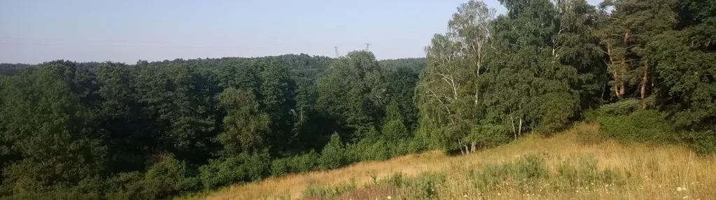 Działka na sprzedaż 246m2