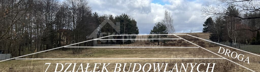 Wyjątkowa działka na sprzedaż – 1 ha w rytwianach