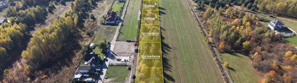 Zadrzewione działki – naturalnie piękne miejsce