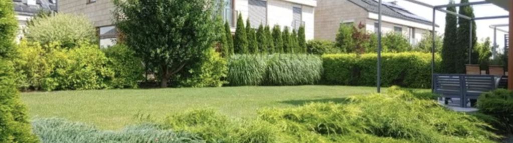 Dom | szkoła amerykańska | od lipca