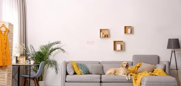 Przytulny apartament/ostatnie piętro/centrum