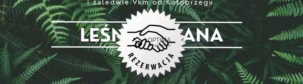 Działka z widokiem na las, obok vilpark