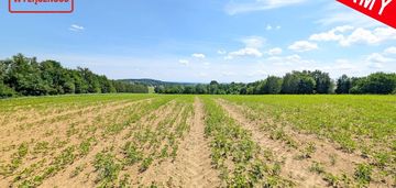 Sławkowice gmina biskupice działka budowlana 13a