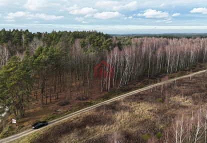 Działki budowlane przy lesie - czarna sędziszowska