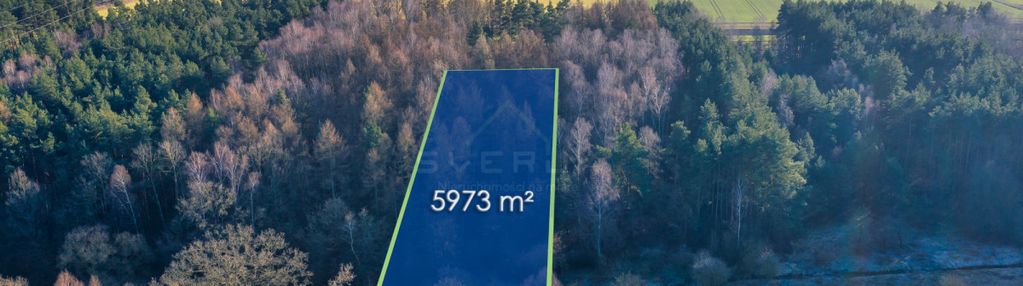 Działka borowe gm. miedźno