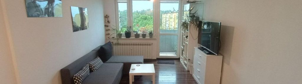 2-pokojowe mieszkanie po remoncie | zielona okolic