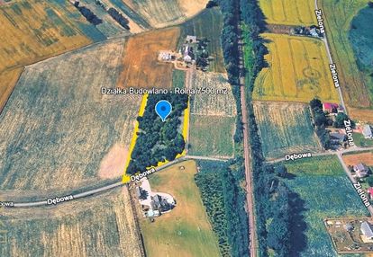 Czernica – przestronna działka w zielonej okolicy