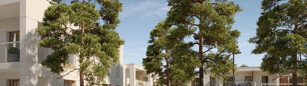 Mieszkanie z antresolą, wyspa sobieszewska