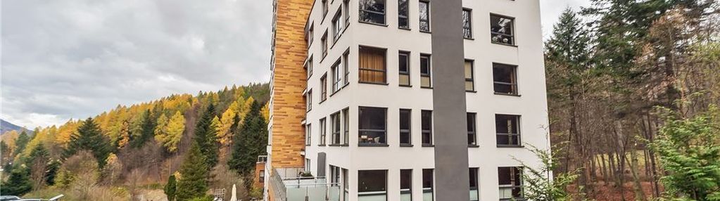 Apartament, strefa spa, góry, jezioro