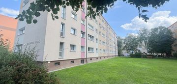 3 pokoje poznań grunwald