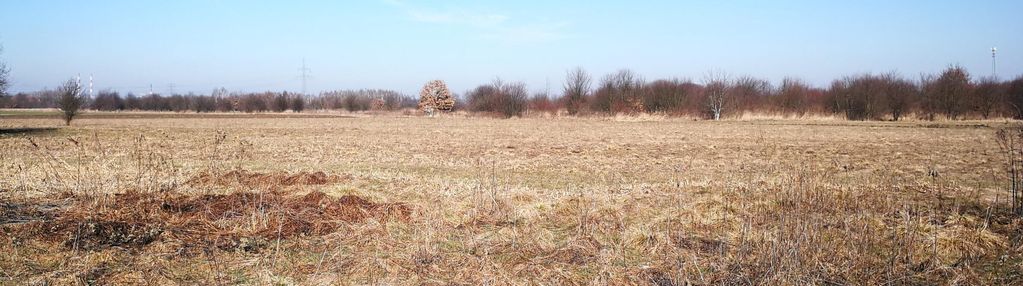 Wymiarowa cicha działka, ładna okolica!
