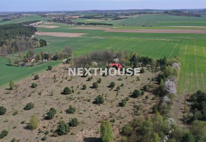 Gospodarstwo agroturystyczne na jurze, las