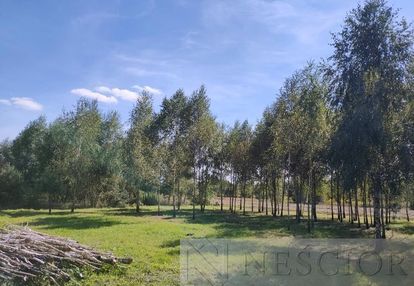 Działka budowlana – teodorów, gm. skórzec