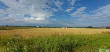 Na sprzedaż uzbrojone działki w pieszycach