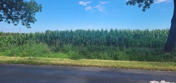 Działka 3,8 ha w krojczynie z warunkami zabudowy!