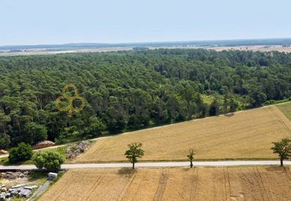 Działka 1355 m² przy lesie | srocko małe