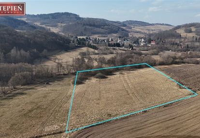 Pakiet inwestycyjny: 2,95ha kaczorów