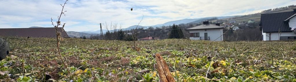 Działka budowlana 11 arów siołkowa - niższa cena!