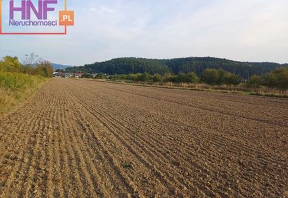 Działka usługowa stary sącz 80ar