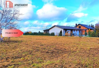 Dziemionna 1067m2 plan mpzp