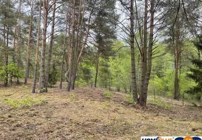 Działka w lesie 2064 m² - letniskowa i całoroczna