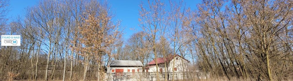 Siedlisko z domkiem i 3 ha ziemi - trzciniec