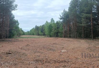 Działka siedliskowa przy puszczy kampinosk-1,15 ha