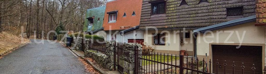 Szereg pod lasem - cieplice