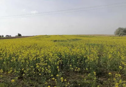 Działka budowlana na Wzgórzach Strzelińskich 799m2