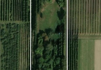 Działka na sprzedaż gosnieiwce, gm. jasieniec