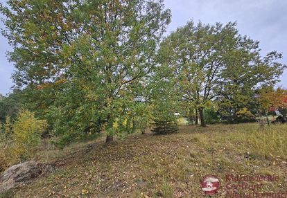 Działka ze stawem !!!! świetna lokalizacja !