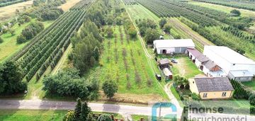 Działka rolno-budowlana, wola pękoszewska, 4,25 ha