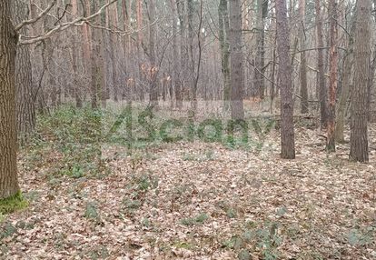Atrakcyjna działka w sękocinie las