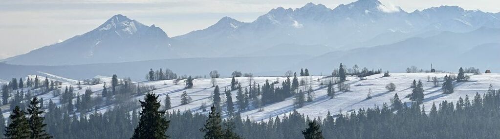 Działka budowlana z widokiem na góry w bustryku