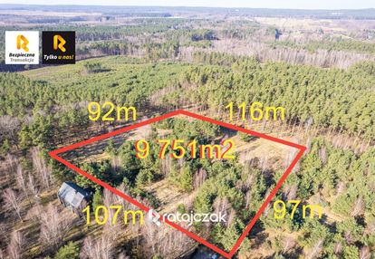 Działka inwestycyjna | sasino | las widok na morze