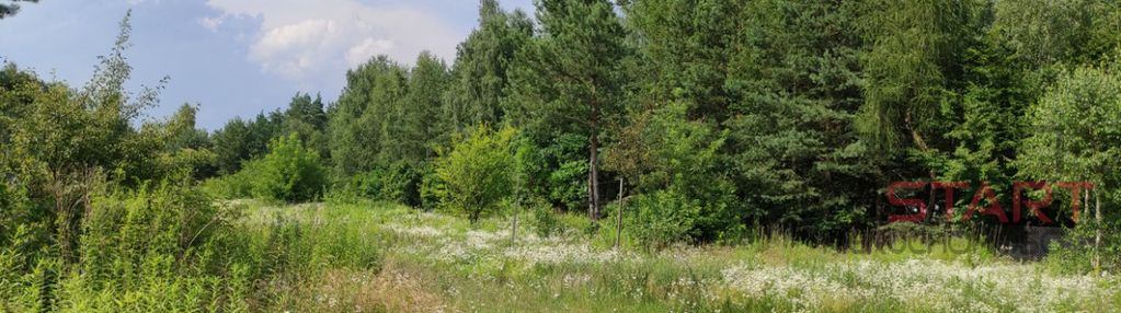 Budowlana działka z lasem łoś gm. prażmów