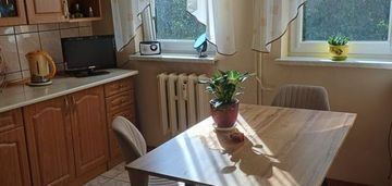 Duże mieszkanie 63 m2 stary sącz