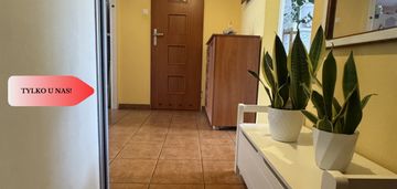 Przestronne mieszkanie 3 pokojowe