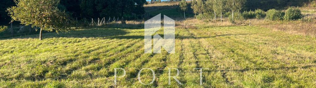 Działka z wydanymi warunkami zabudowy.