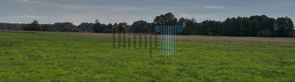 Działka brzoza ok 2,2 ha
