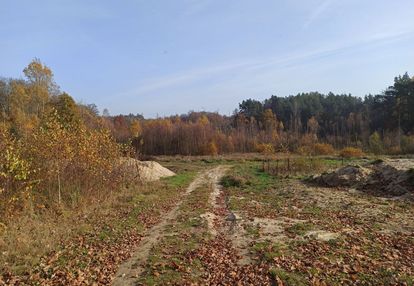 Leśniewo - tania działka 4665m2 z wz z 04.2024r.