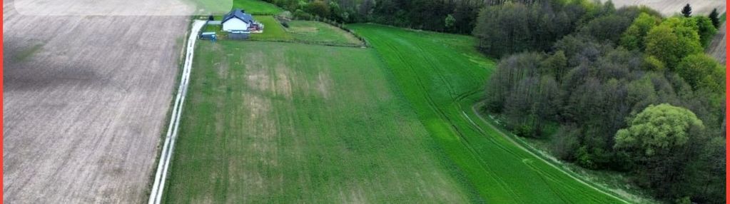 Działka pod zabudowę jednorodzinną w borach