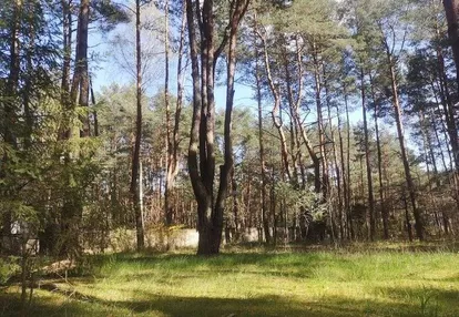 Działka leśno-budowlana Popowo-Letnisko