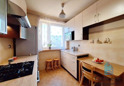 Wynajem | mieszkanie 35,65m2 | brzesko
