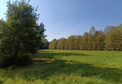 3122m2 z wz, celinów.