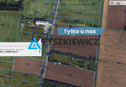 Działka- 1116 m2 - nowy dwór gdański