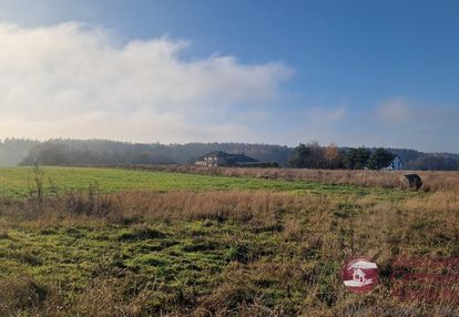 Działki budowlane w złotopolicach z wz + media