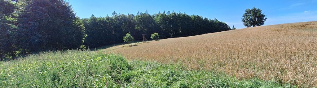 Działki  budowlane na kaszubach kczewo/przodkowo